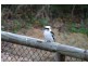 85 Wuraga Road, Bahrs Scrub QLD 4207