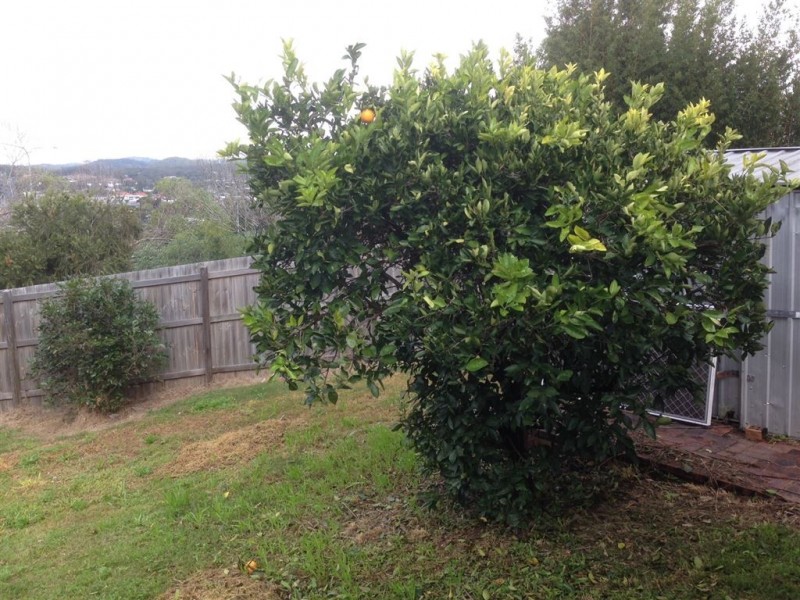 12 Clover Crt, Eagleby QLD 4207