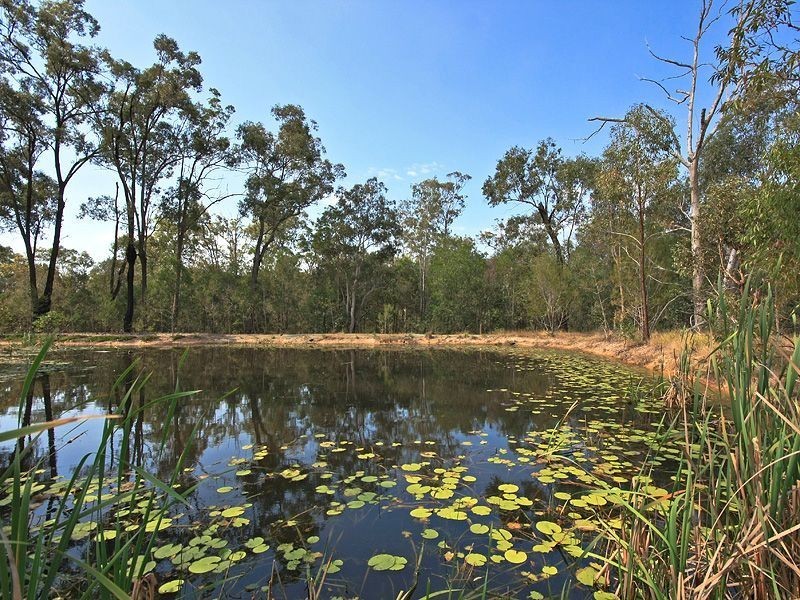 5 Jillian Ct, Logan Village QLD 4207