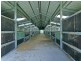 1541 Chambers Flat Road, Chambers Flat QLD 4133