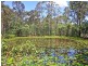 147 RANDLE RD, Buccan QLD 4207