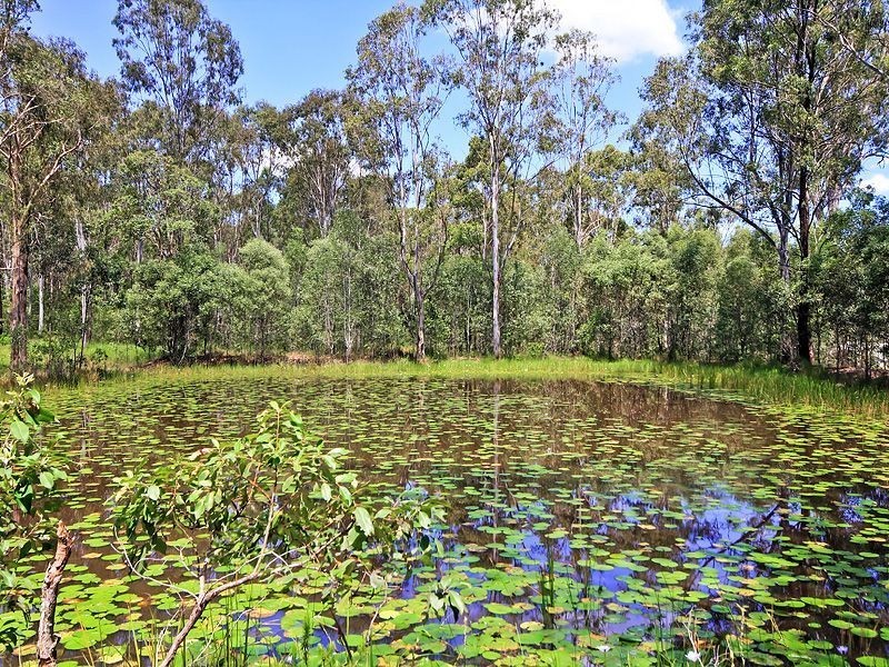 147 RANDLE RD, Buccan QLD 4207