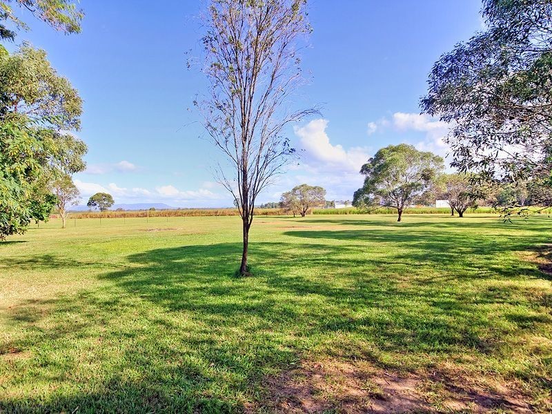 87 Sheils Road, Chambers Flat QLD 4133