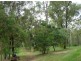 36 Dollarbird Drive, Tamborine QLD 4270