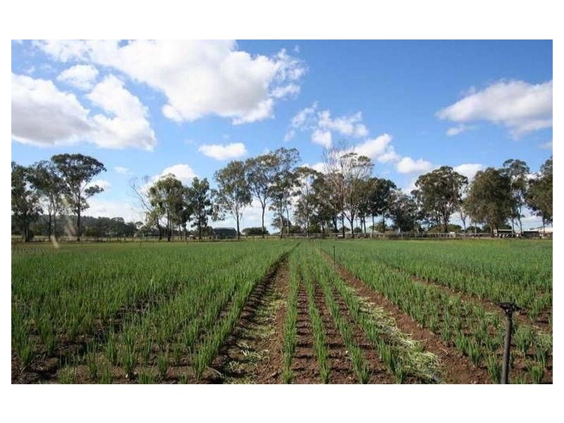 31 Radke Rd, Bethania QLD 4205