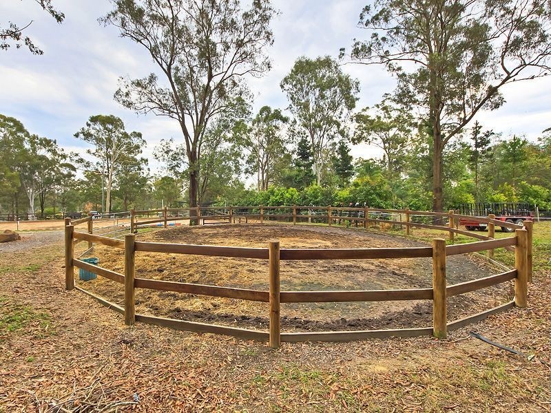 58 Daintree Drive, Logan Village QLD 4207