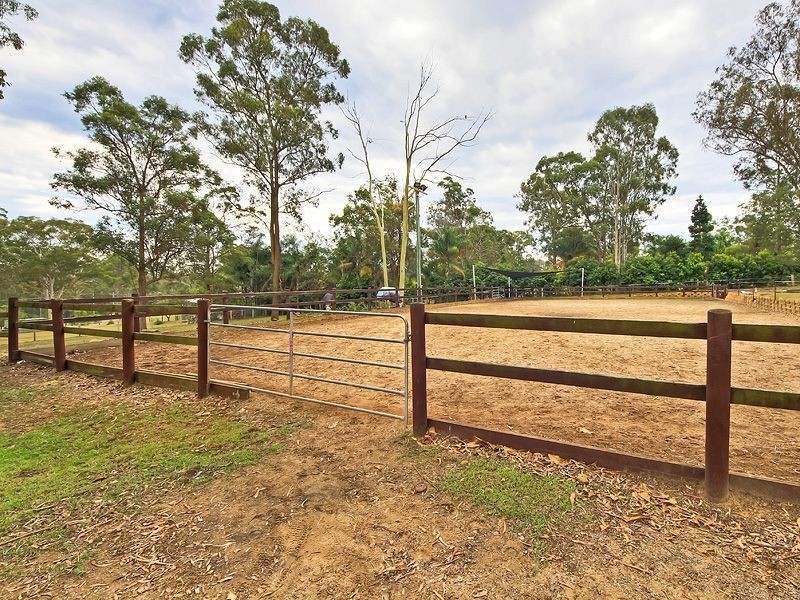 58 Daintree Drive, Logan Village QLD 4207