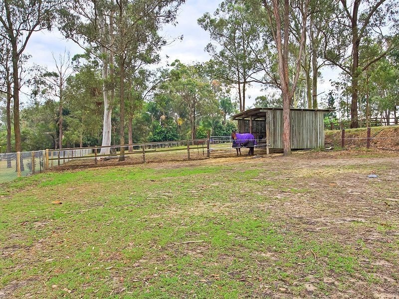 58 Daintree Drive, Logan Village QLD 4207