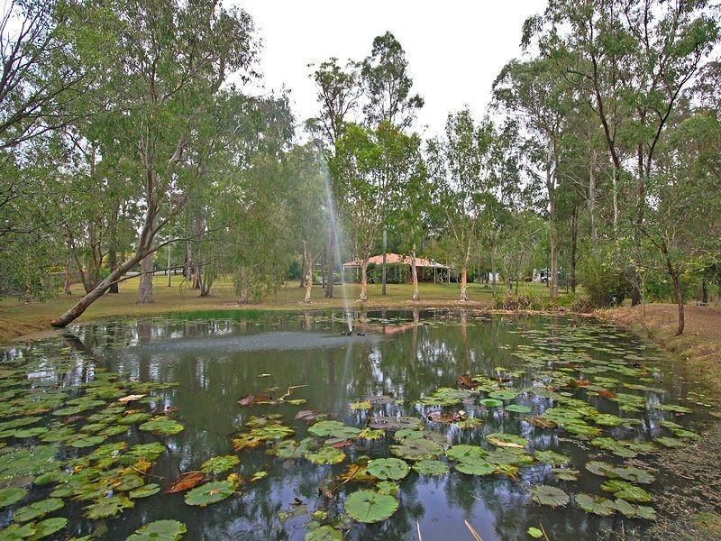 6-8 Jillian Court, Logan Village QLD 4207