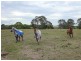 25 Storey Road, Logan Village QLD 4207