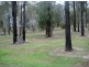 55 Eucalypt Road, Logan Village QLD 4207