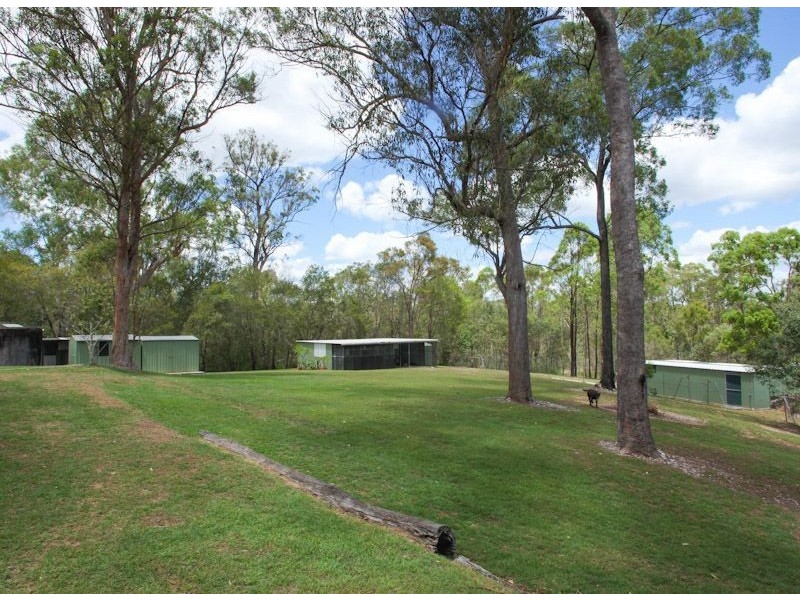 81 Sheree Court, Buccan QLD 4207