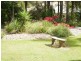 53 Pascoe Road, Ormeau QLD 4208