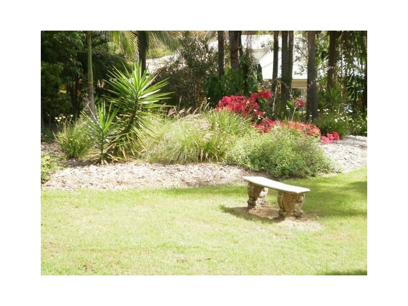 53 Pascoe Road, Ormeau QLD 4208