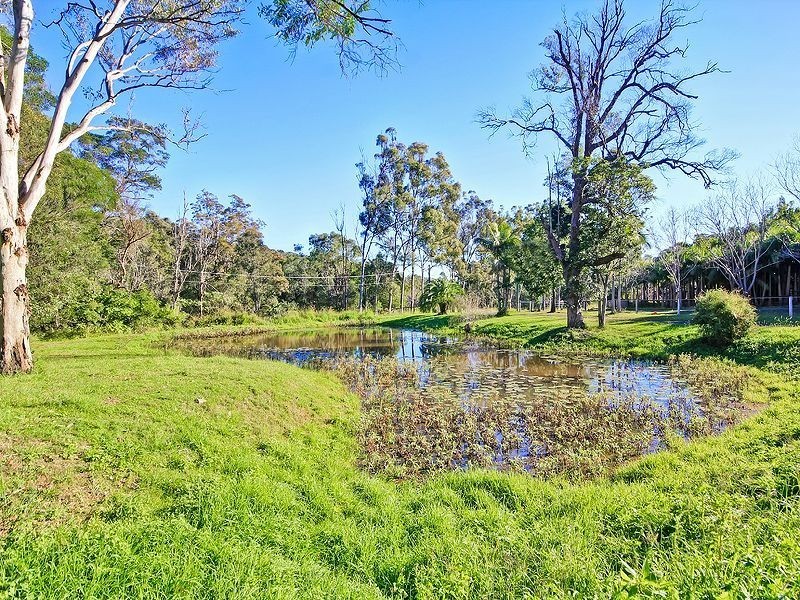 4 Soper Way, Luscombe QLD 4207