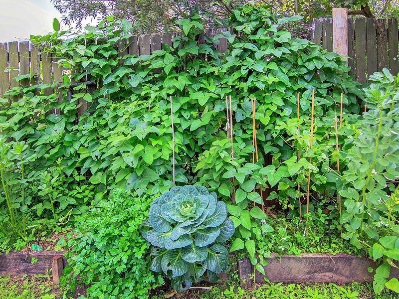 39 Sunrise Street, Beenleigh QLD 4207