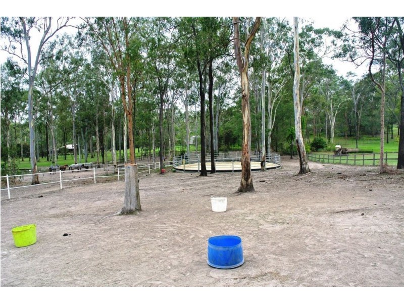 8 Caswell Court, Ormeau QLD 4208