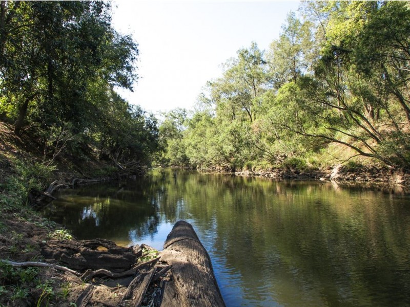 127 Garden Road, Cedar Creek QLD 4207