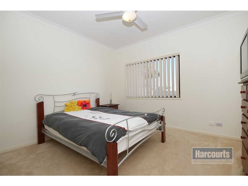4 Waterclover Dr, Upper Coomera QLD 4209