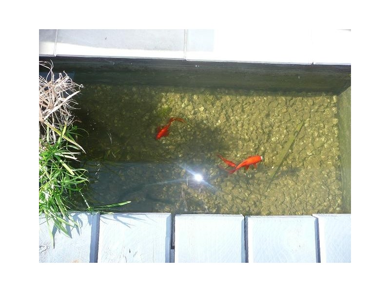 141 Benowa Road, Southport QLD 4215