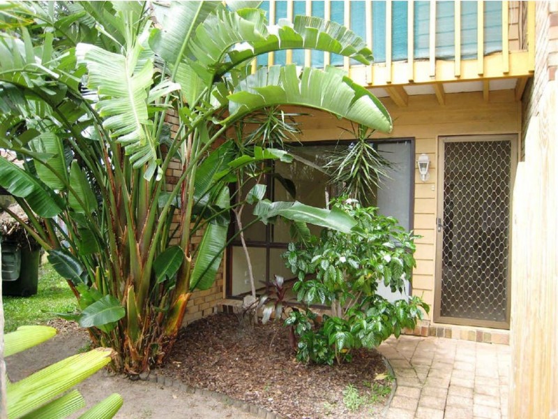 1/3  Cotinga Crescent, Burleigh Waters QLD 4220