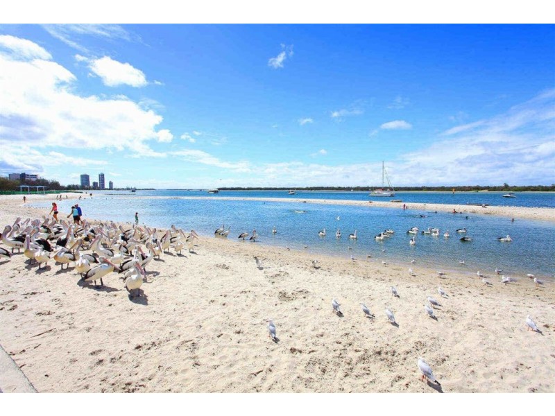 30/160 Frank Street, Labrador QLD 4215