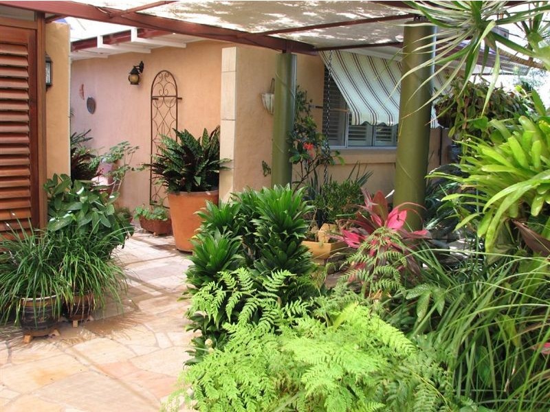 55 Gibraltar Drive, Isle Of Capri QLD 4217