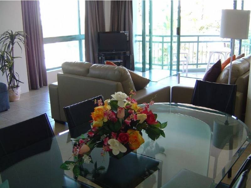 313/5 Palm Avenue, Surfers Paradise QLD 4217