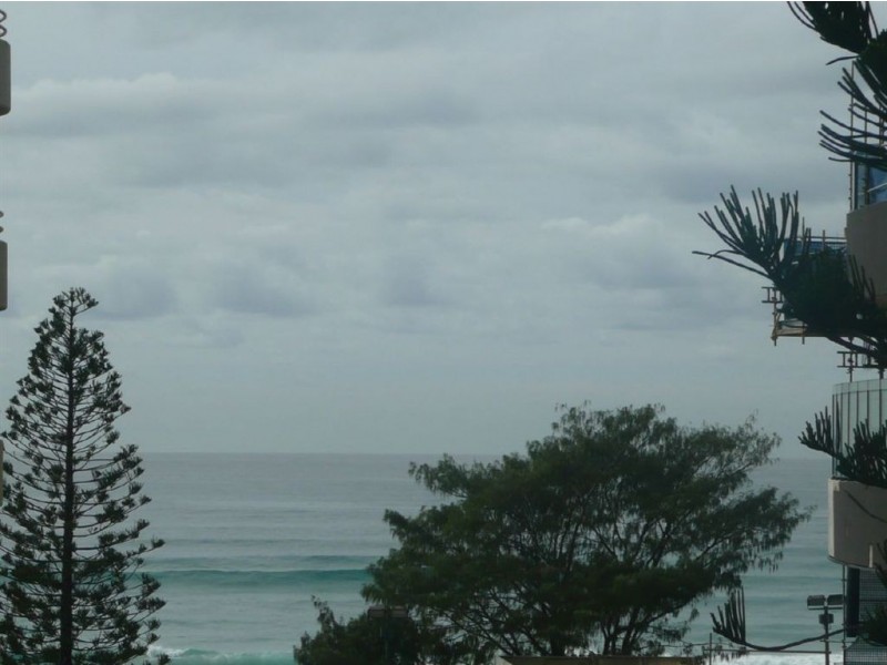 44/19 Orchid Avenue, Surfers Paradise QLD 4217