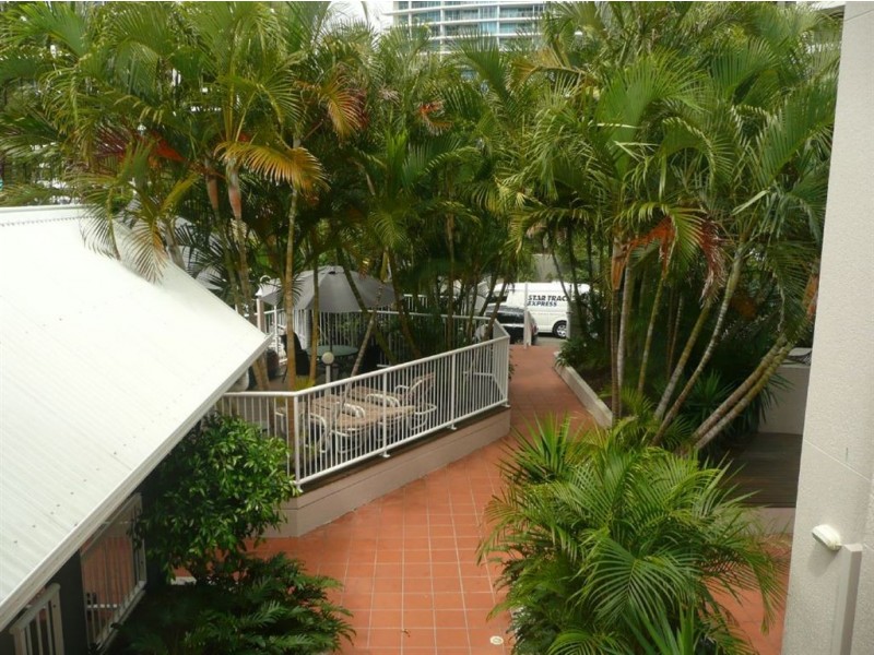 19/25 Markwell Avenue, Surfers Paradise QLD 4217