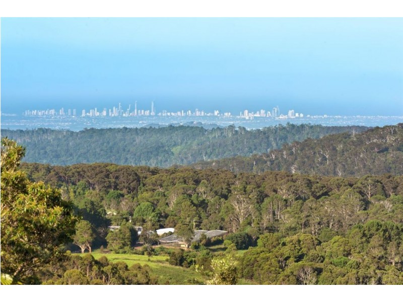 137 Lyrebird Ridge Road, Springbrook QLD 4213