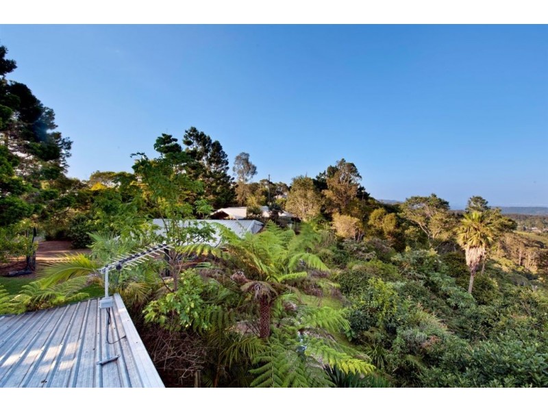 137 Lyrebird Ridge Road, Springbrook QLD 4213