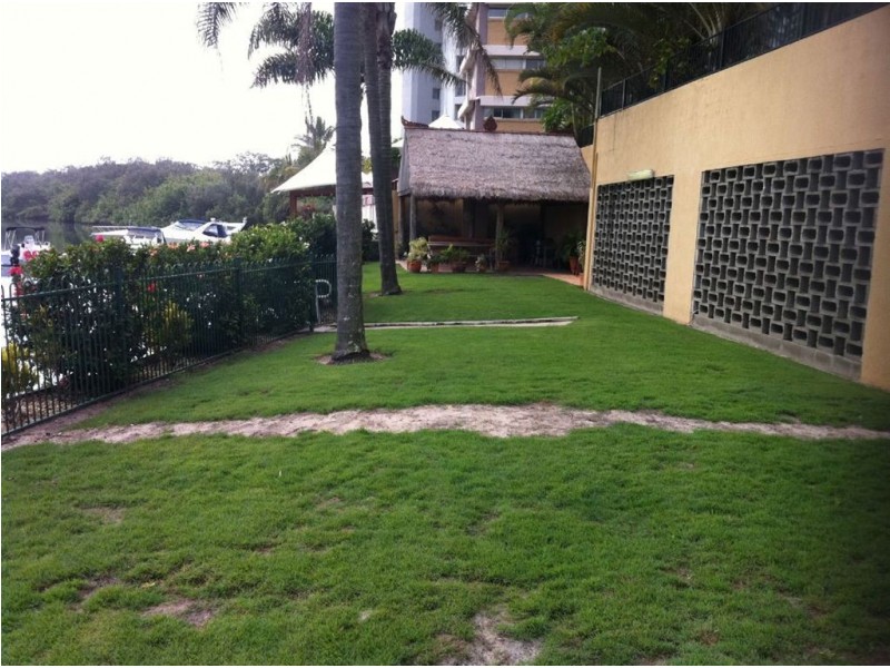 302/198 Ferny Avenue, Surfers Paradise QLD 4217