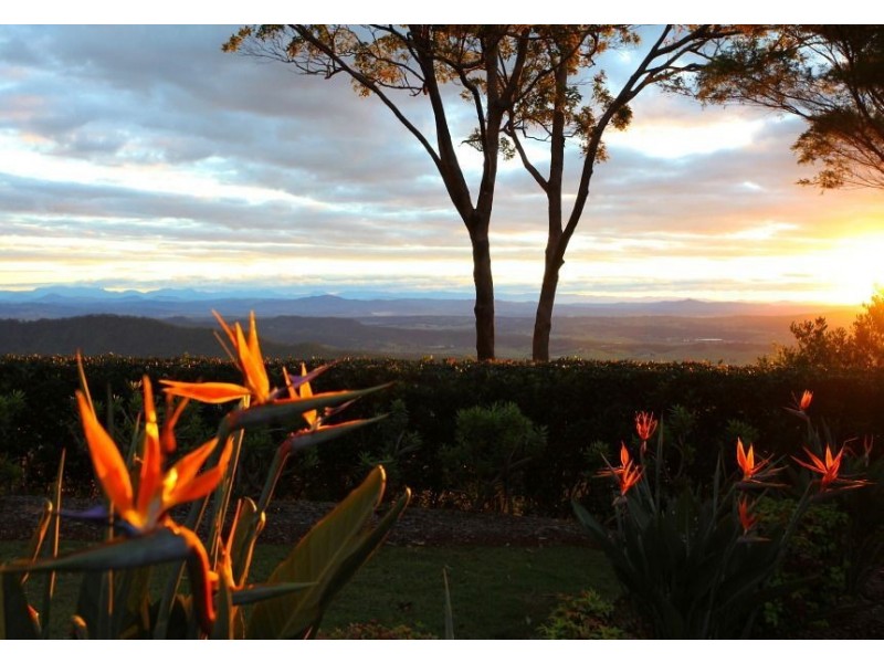 671 Main Western Road, Tamborine Mountain QLD 4272