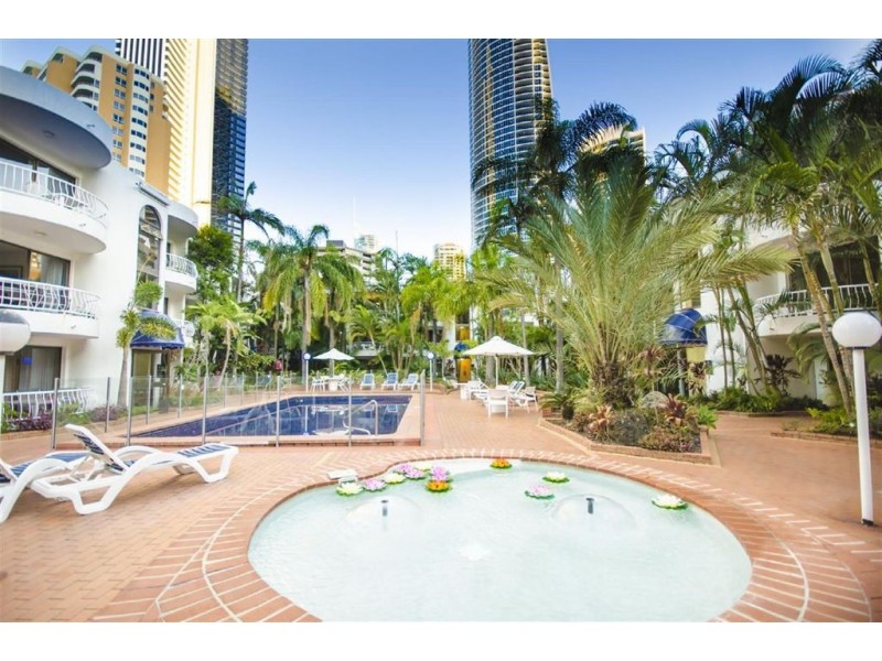 43/31 Orchid Ave, Surfers Paradise QLD 4217