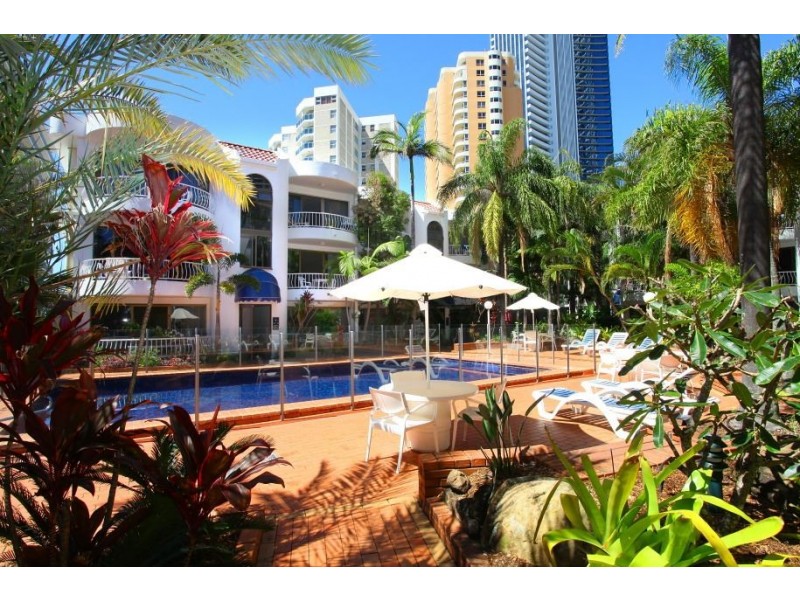 231/31 Orchid Ave, Surfers Paradise QLD 4217