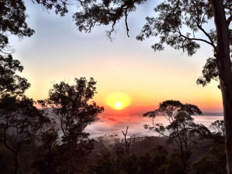 Murwillumbah NSW 2484