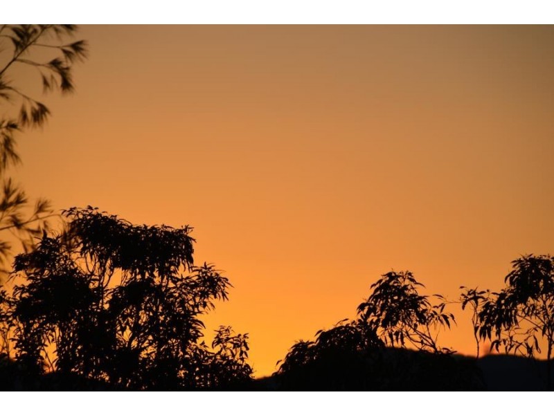 Murwillumbah NSW 2484