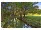 288 Tunnel Road, Murwillumbah NSW 2484