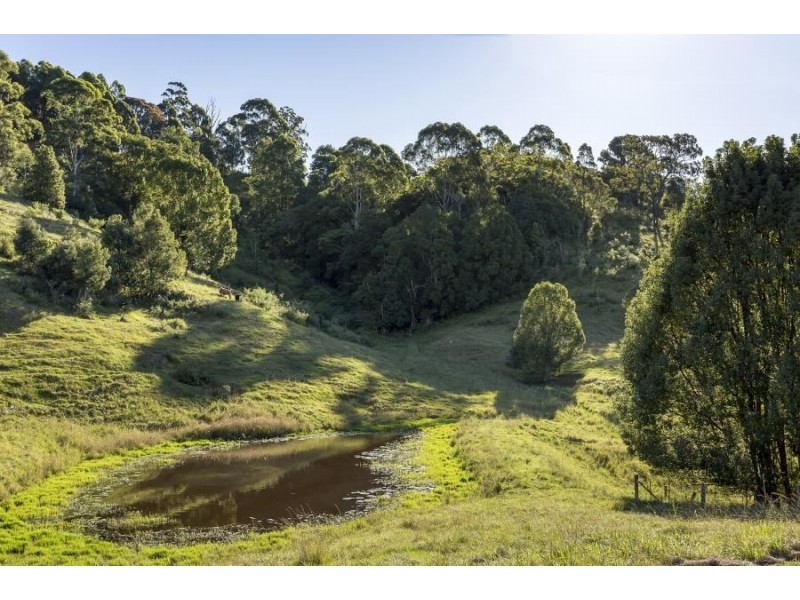 288 Tunnel Road, Murwillumbah NSW 2484