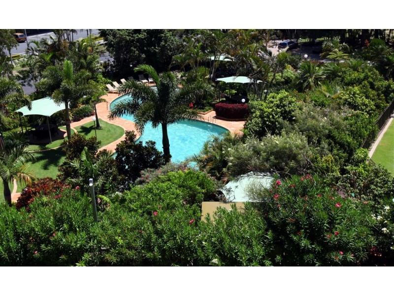 17/2 Admiralty Drive, Surfers Paradise QLD 4217