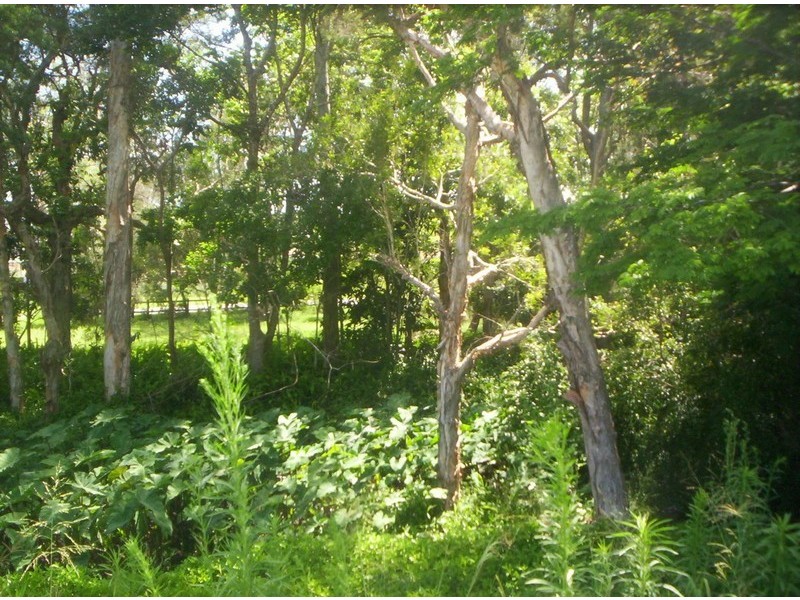 81 Addison Rd, Camira QLD 4300