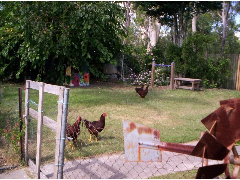 21 Bluegum Dr, Camira QLD 4300