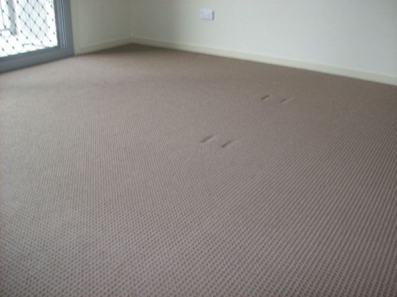 Springfield QLD 4300