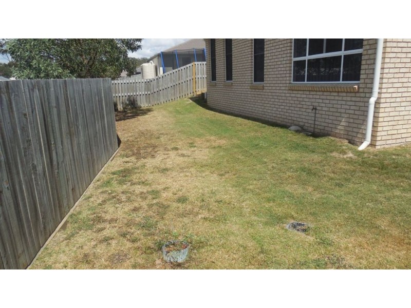 Augustine Heights QLD 4300