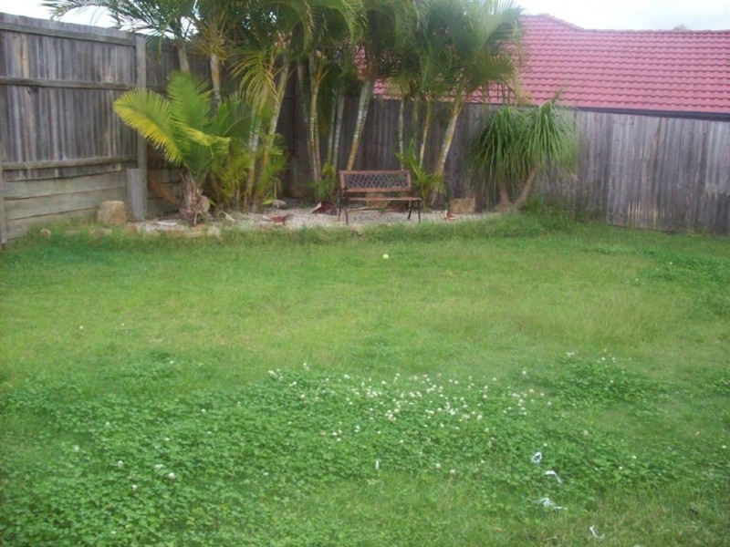 Springfield Lakes QLD 4300