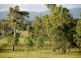 57 Nelson Street, Bundamba QLD 4304