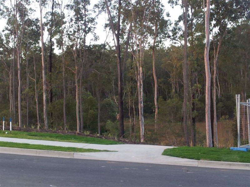 Lot 417 Foreshore Drive, Springfield Lakes QLD 4300