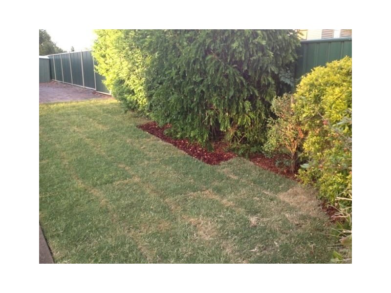 16 Butler Street, Raceview QLD 4305