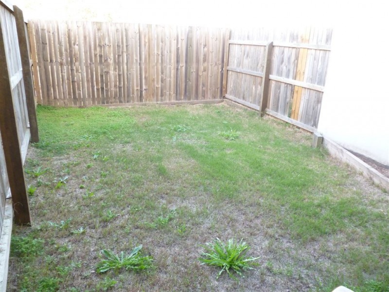 Springfield QLD 4300